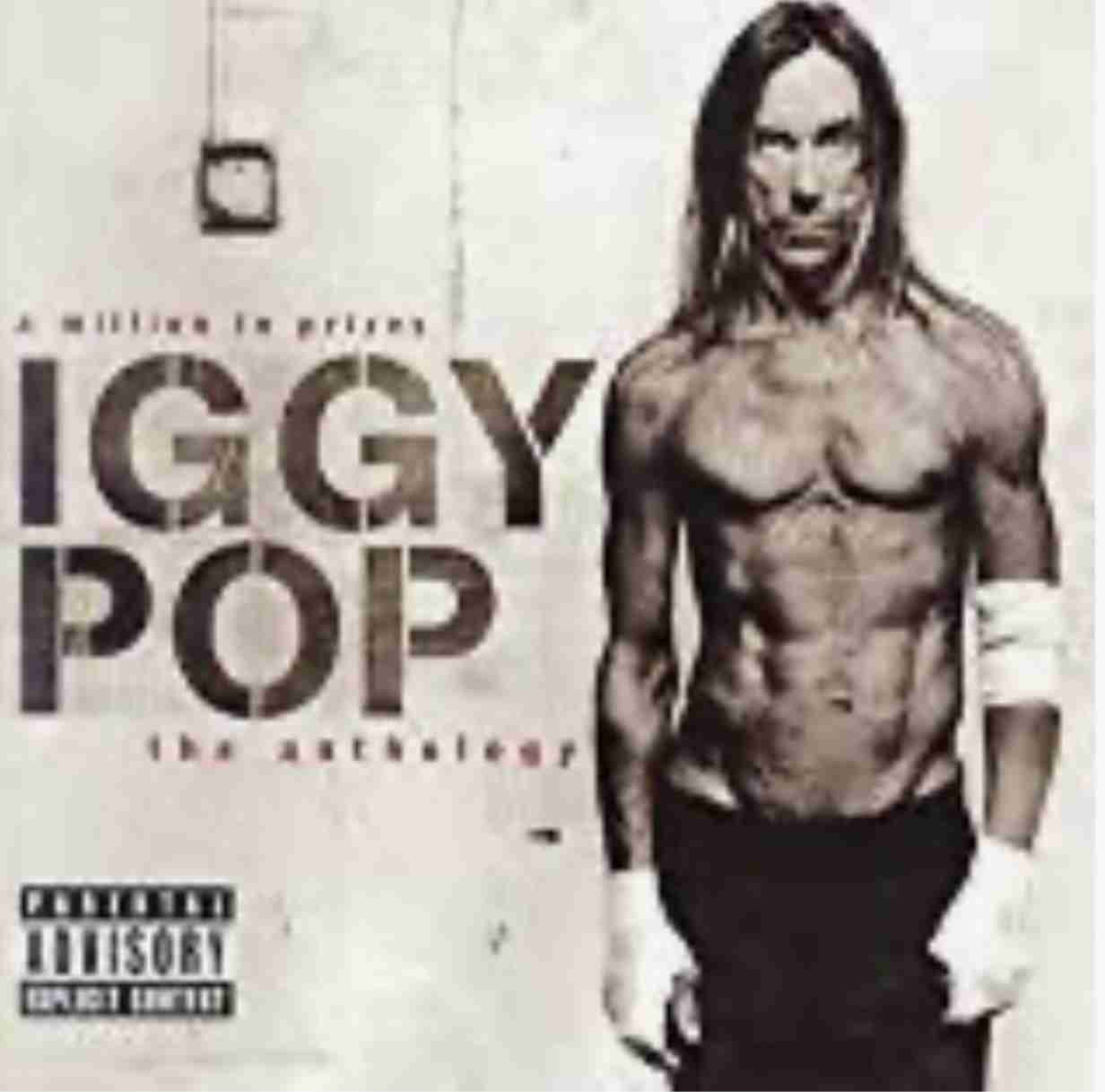 海外のバンドをひたすら挙げていくトピ【知っていたらプラス】part5