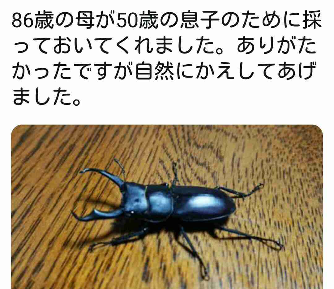 親にとって子供はいくつになっても子供だと思ったエピソード