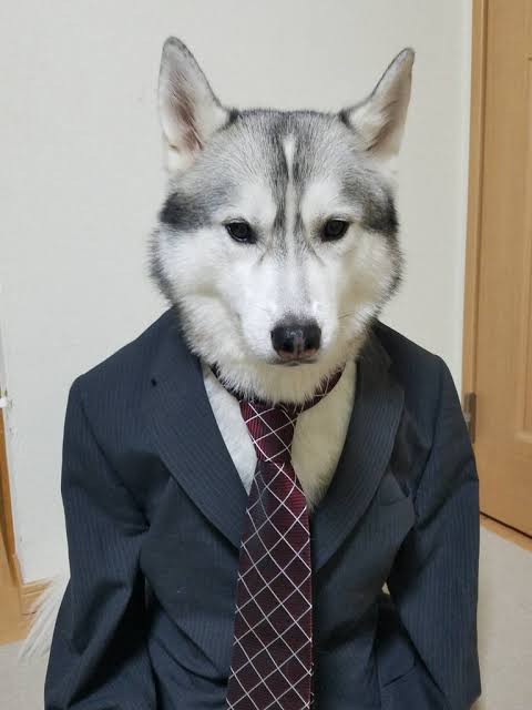 人間以外のイケメンの画像を貼るトピ