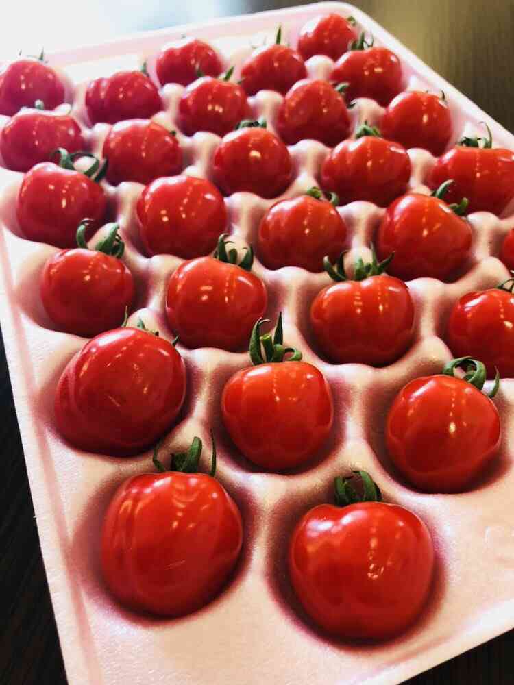 【華金】酒飲み達の集い