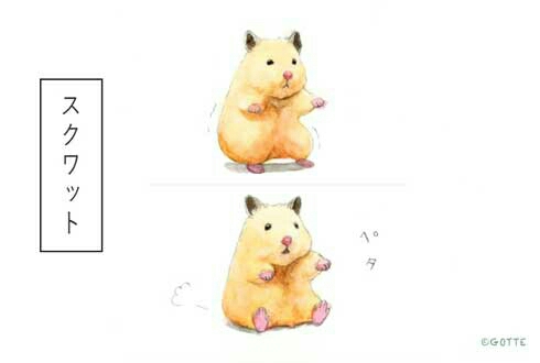 可愛い画像選手権