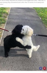 可愛い画像選手権