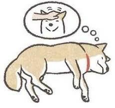 可愛い画像選手権