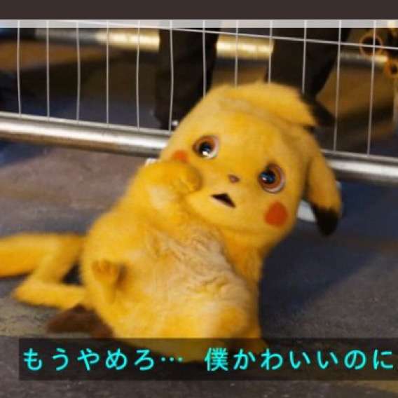 可愛い画像選手権
