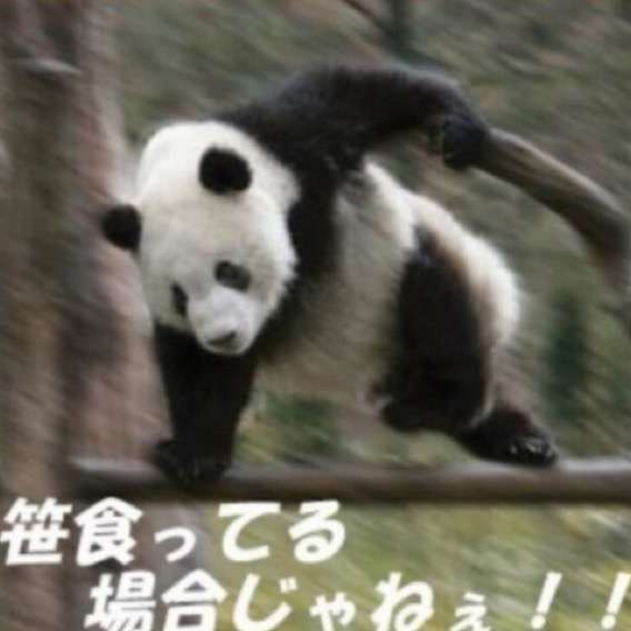 可愛い画像選手権