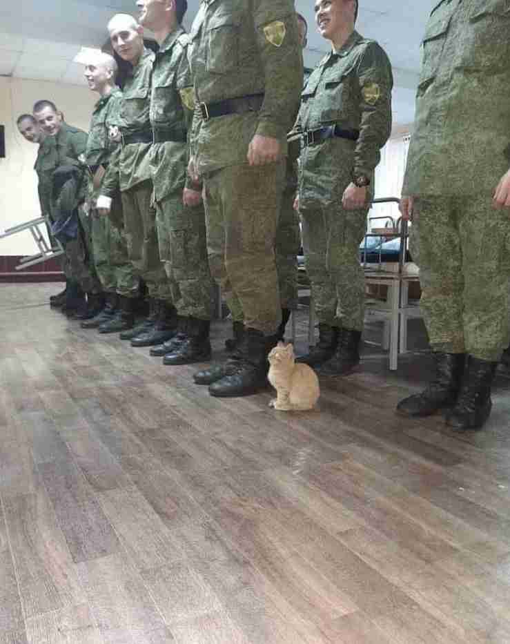 可愛い画像選手権