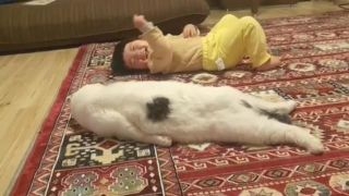 可愛い画像選手権
