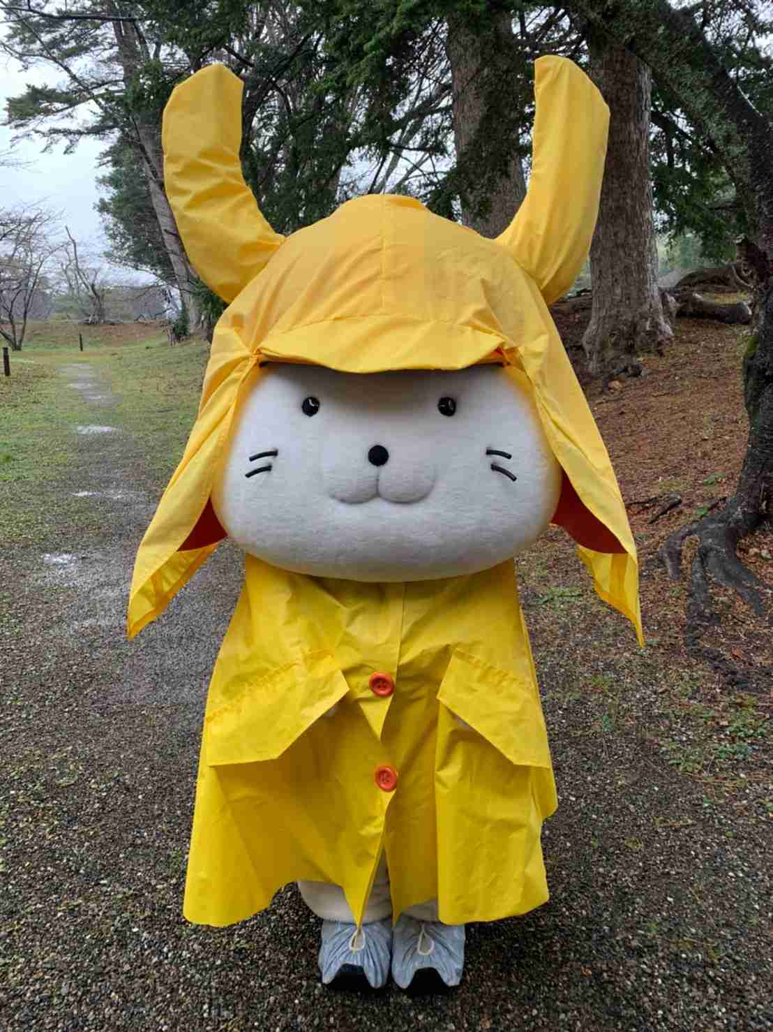 可愛い画像選手権