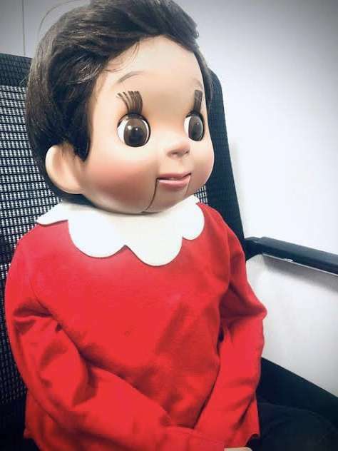 可愛い画像選手権