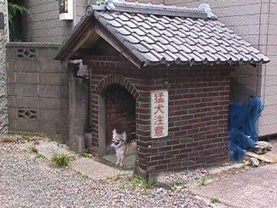 可愛い画像選手権