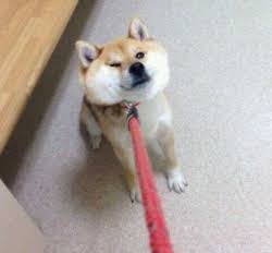 病院嫌いの家族を受診させたい