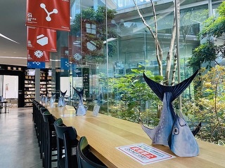「さすが近大」としか言いようがない　近畿大学が導入した「感染予防マグロ」が話題に