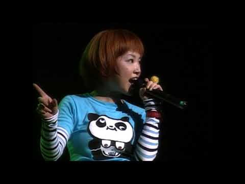 久しぶりにSwimmer(雑貨屋)を語ろう