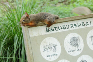 行動力が皆無な人