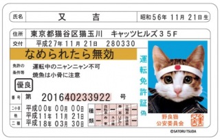 子供の時にこれを持っていたことがあったらプラス