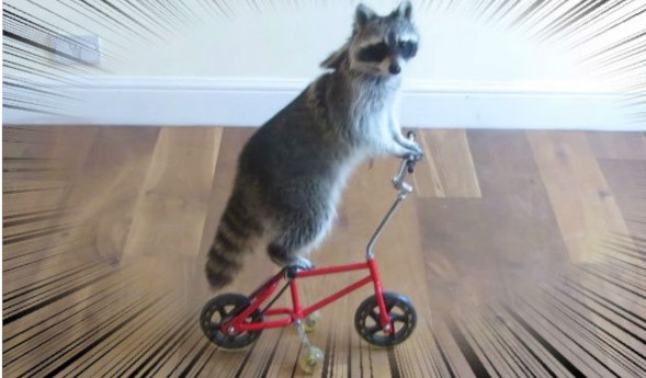 淡路島を語りたい！