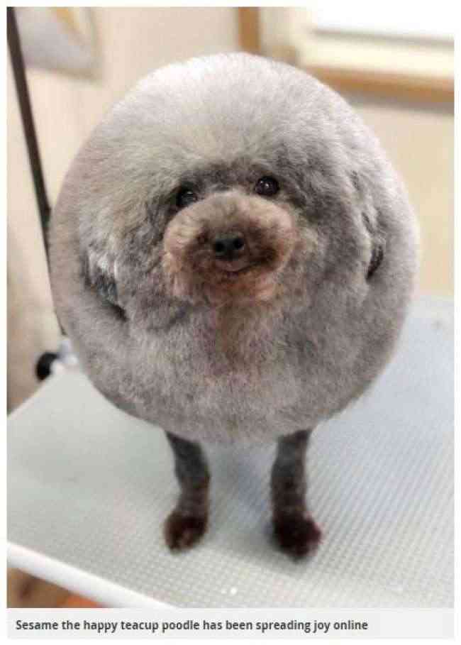 淡路島を語りたい！