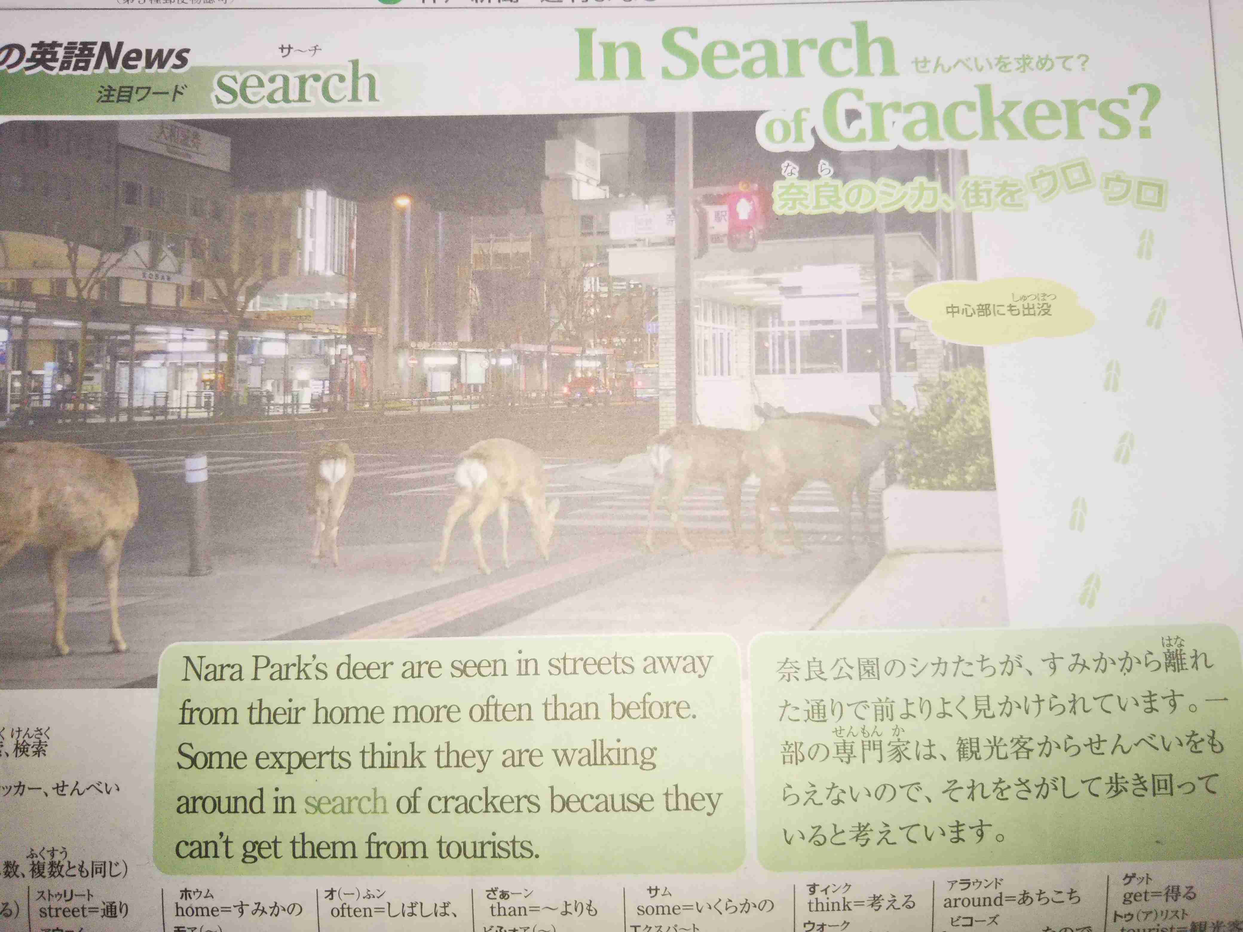 淡路島を語りたい！