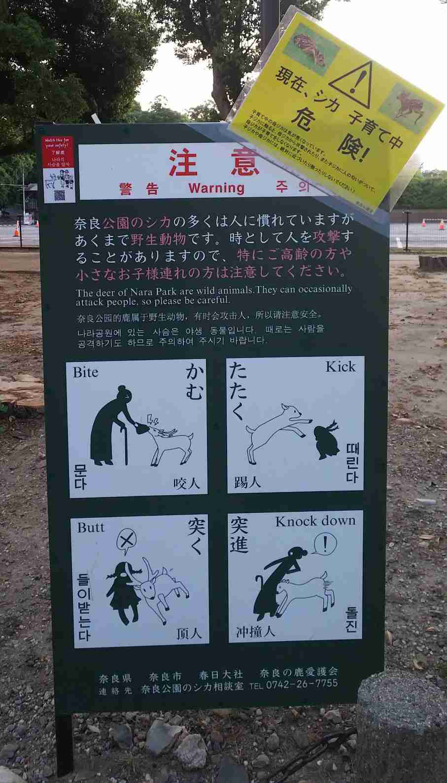 淡路島を語りたい！