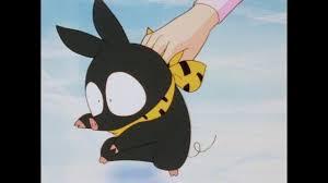 色々なミニブタの画像が見たい