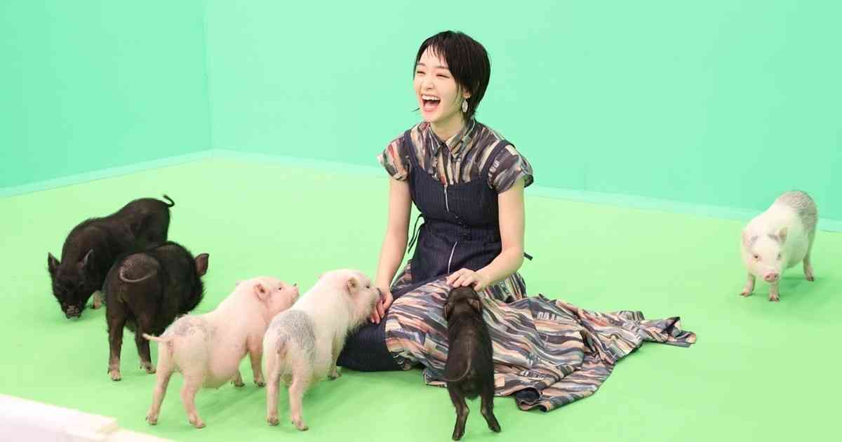 色々なミニブタの画像が見たい