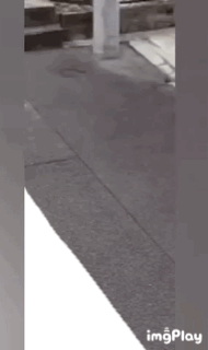 マナーが悪い犬の飼い主にうんざりしている方