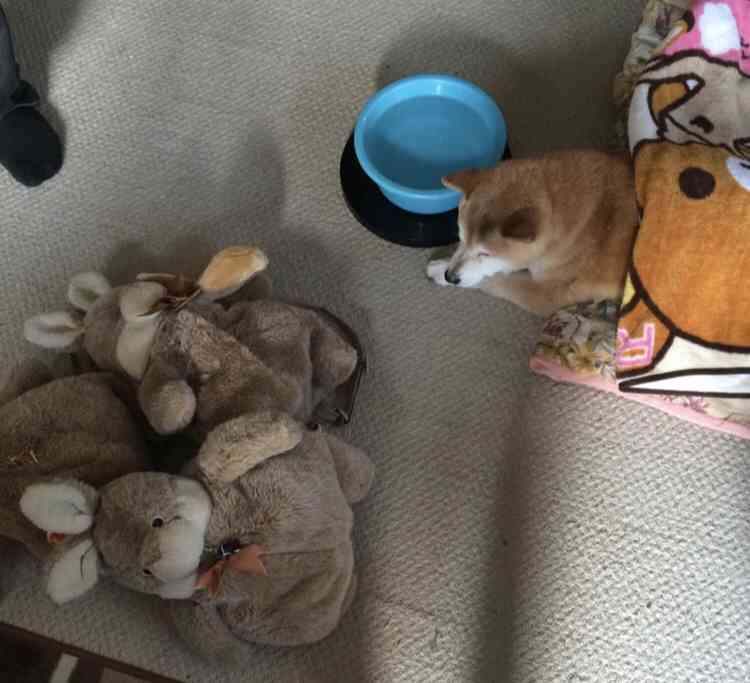 あなたの周りのストック魔