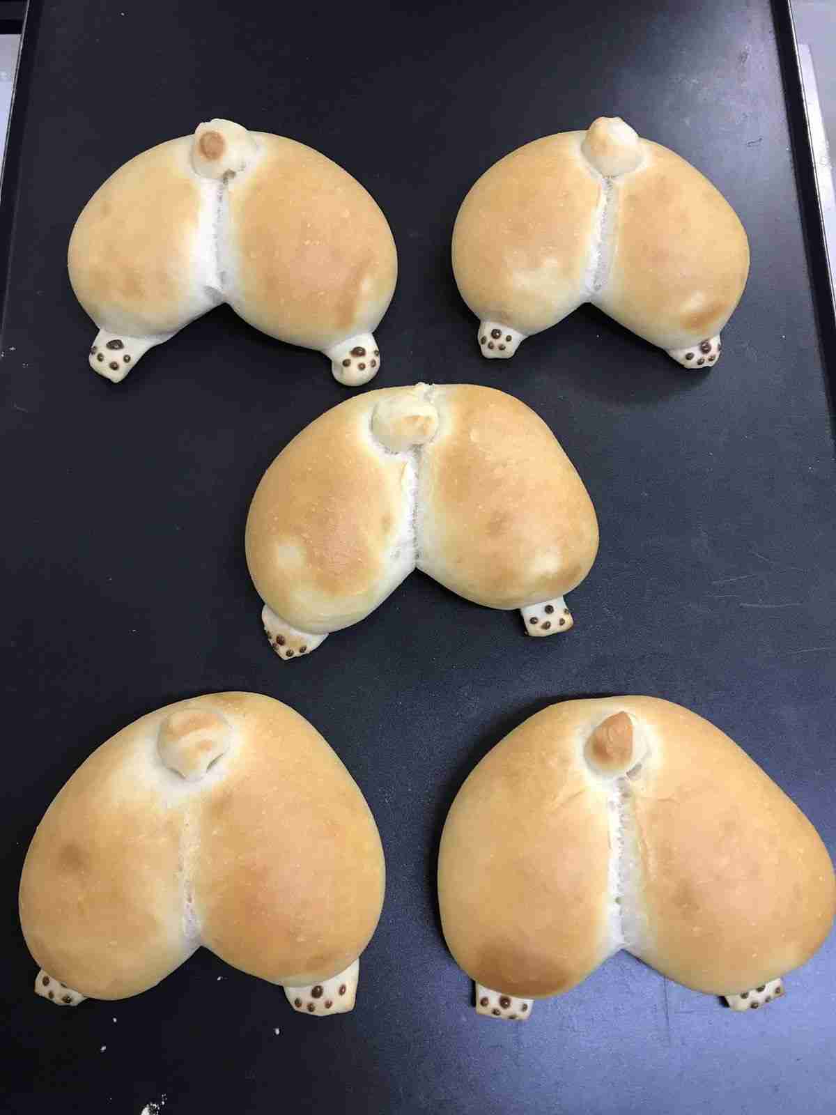 【食パン】コーギーが好きな人いますか？