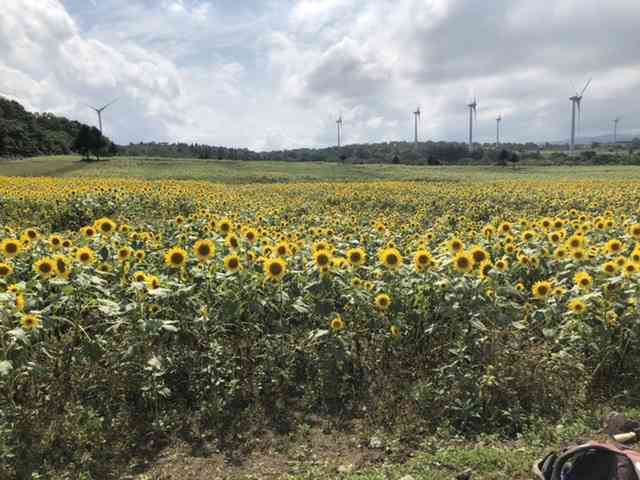 福島県に住んでる人〜♪