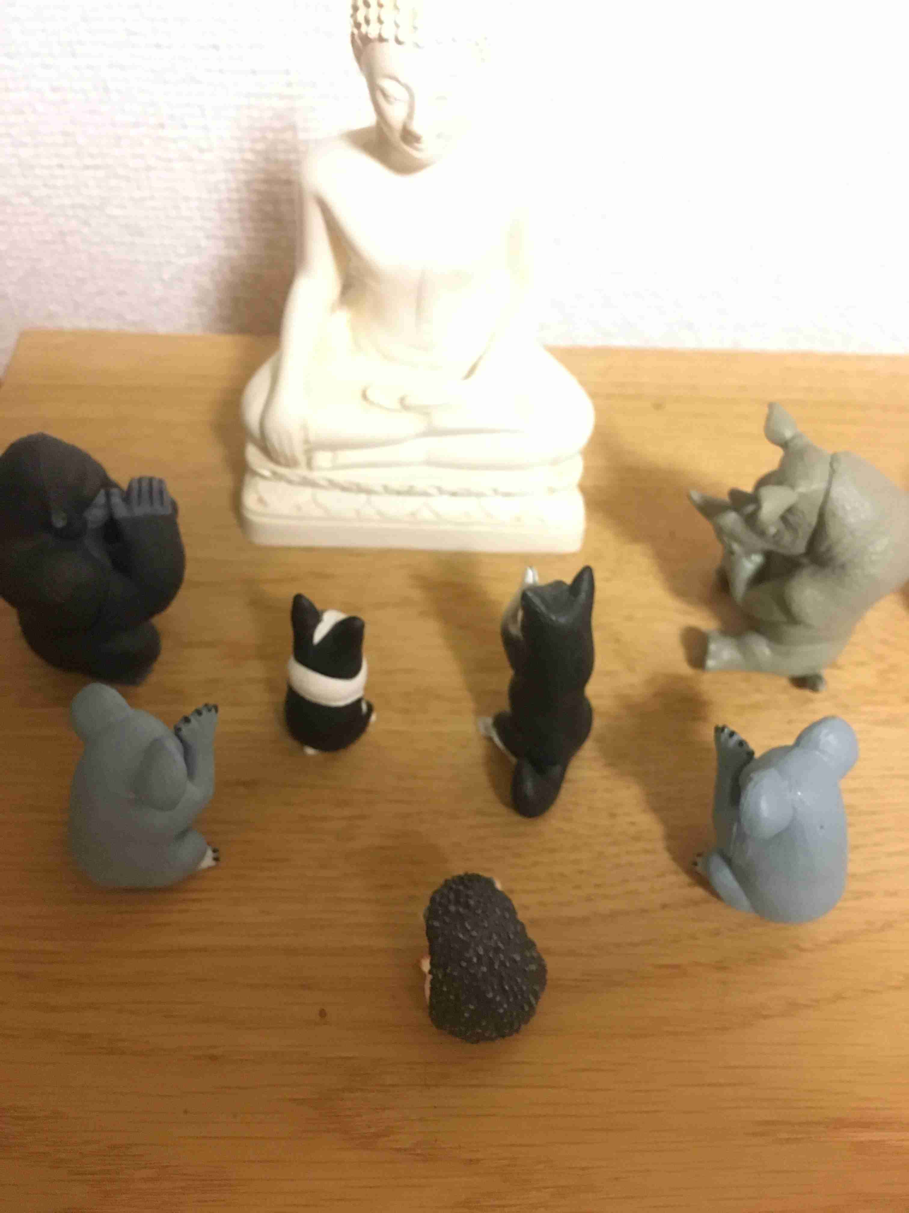 みんなのガチャガチャコレクションが見たい！！