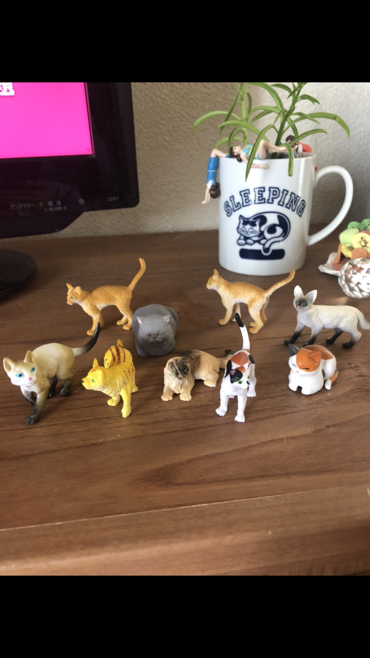 みんなのガチャガチャコレクションが見たい！！