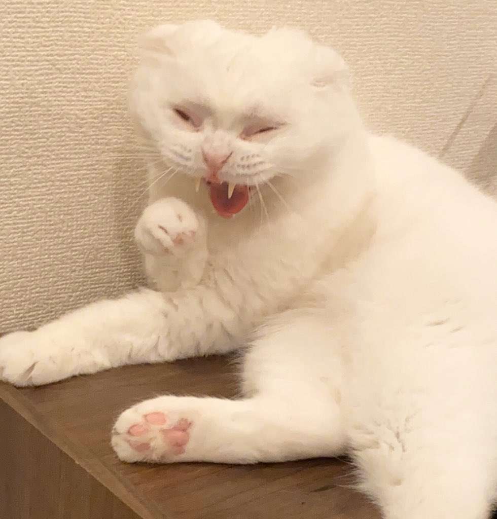 【閲覧注意】怖い画像選手権
