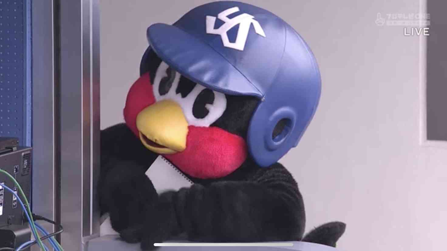 つば九郎を欲してます