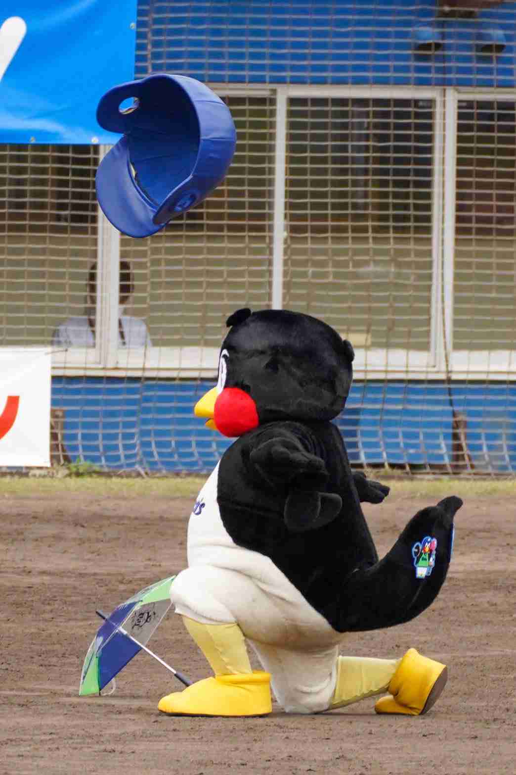つば九郎を欲してます