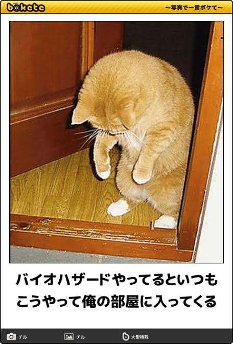 サバイバルホラーゲーム「ガルちゃんハザード」あるある❢のトピ