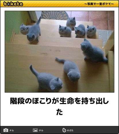 家の中で起きた不思議な出来事❗
