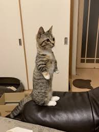 ゲーム中毒、テレビドラマ依存症の20年後の姿を予測した立体図が恐ろしい