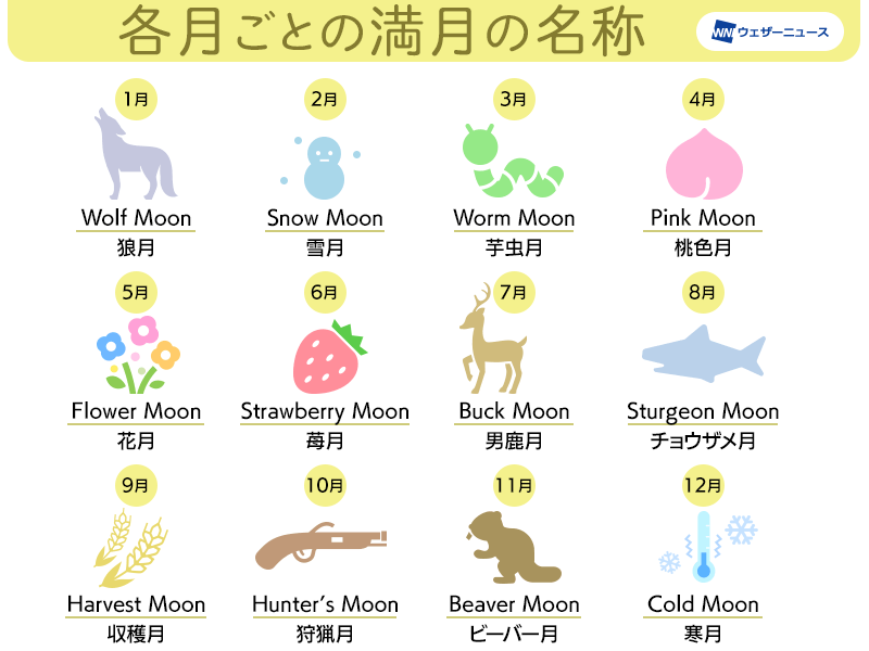 へぇーそうなんだ！って事を教えて下さい