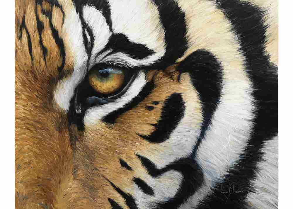 動物の一部分しか写ってない画像を貼るトピ