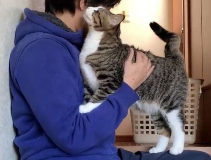 頭が大きい人の麦わら帽子