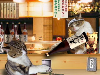 がるちゃん猫カフェ53号店 開店しました♪(初めての方も大歓迎!!)