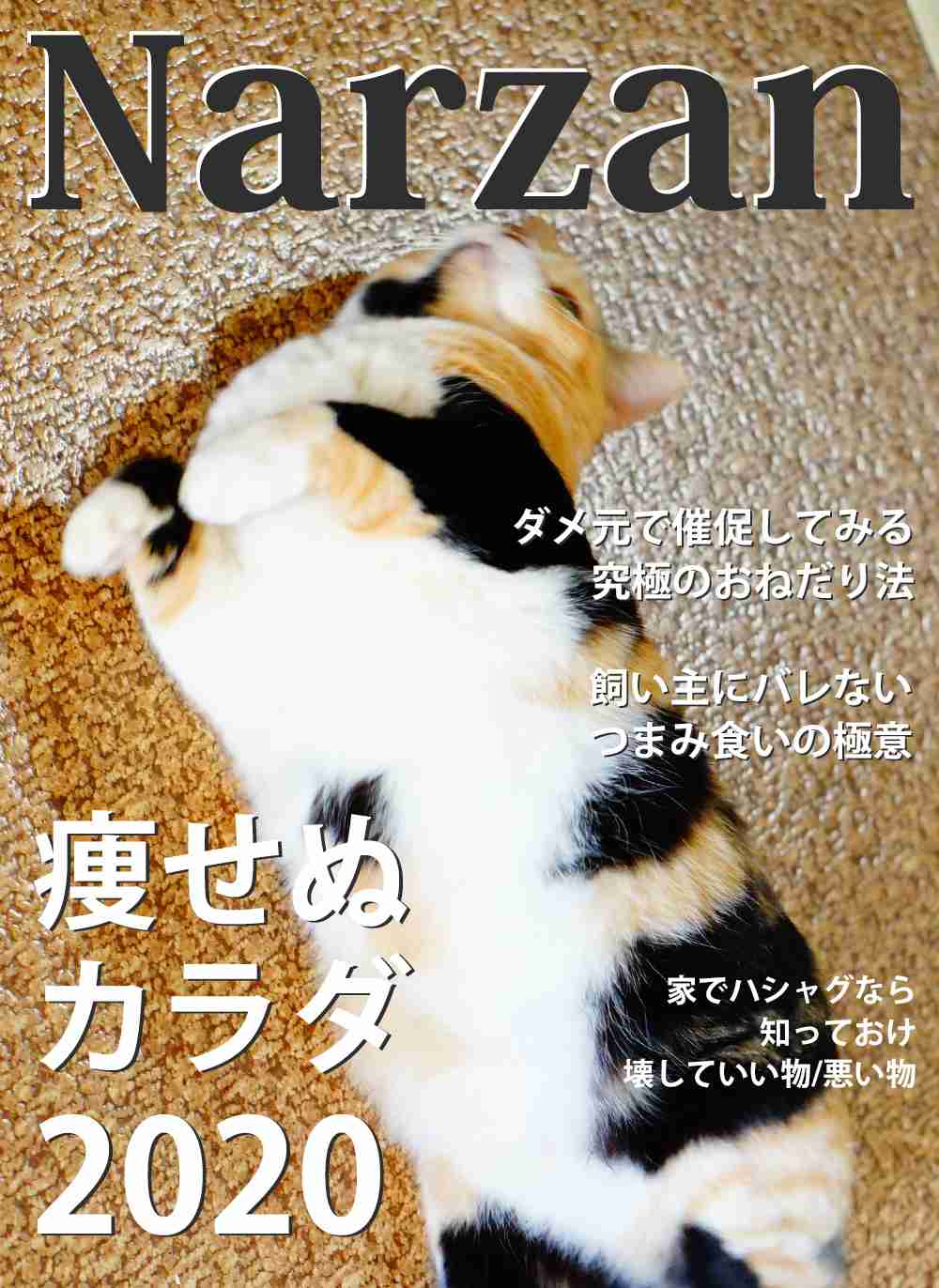 がるちゃん猫カフェ53号店 開店しました♪（初めての方も大歓迎!!）