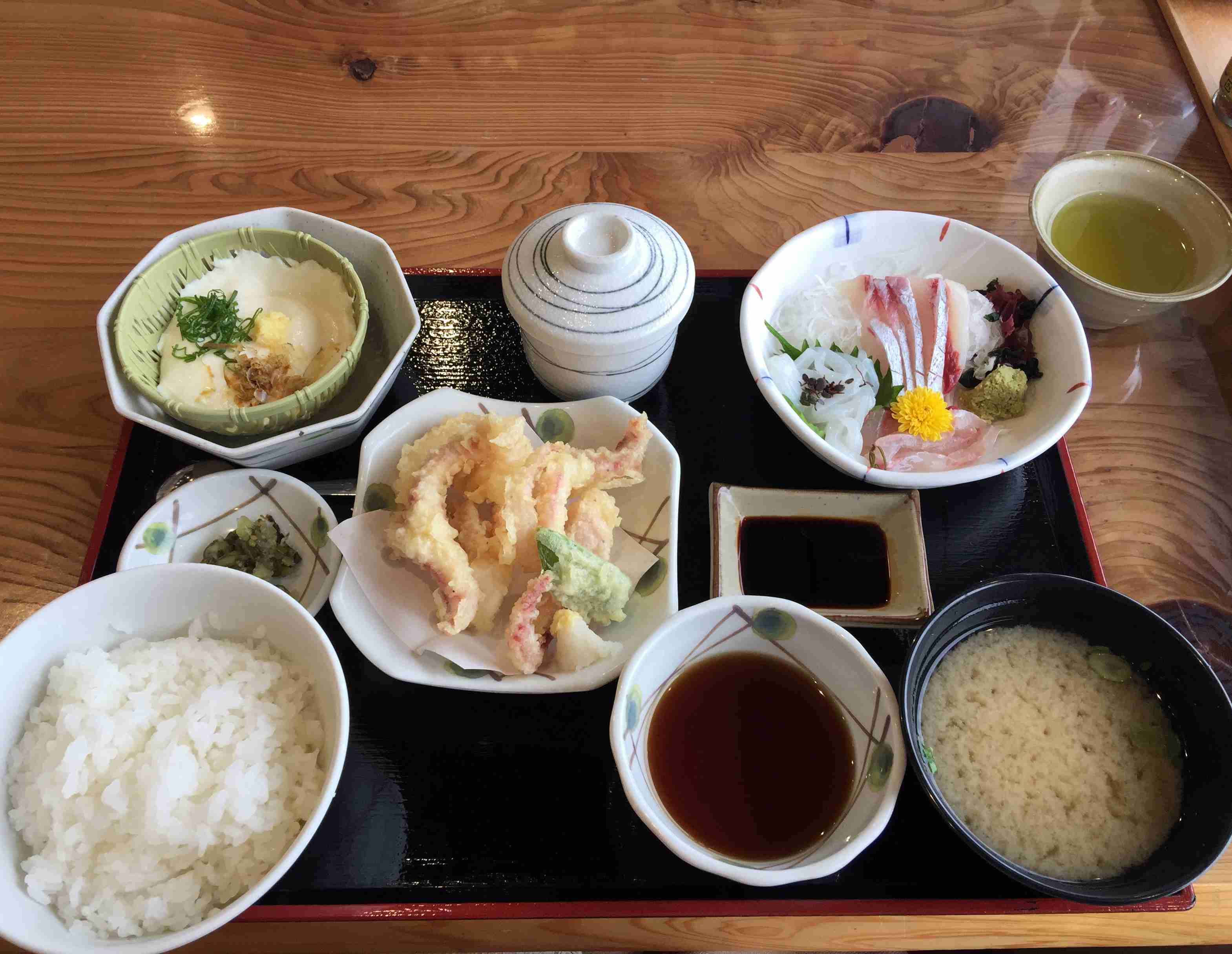 がるちゃん猫カフェ53号店 開店しました♪（初めての方も大歓迎!!）