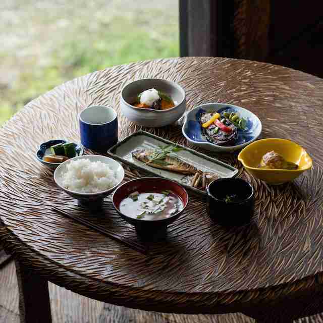 がるちゃん猫カフェ53号店 開店しました♪（初めての方も大歓迎!!）