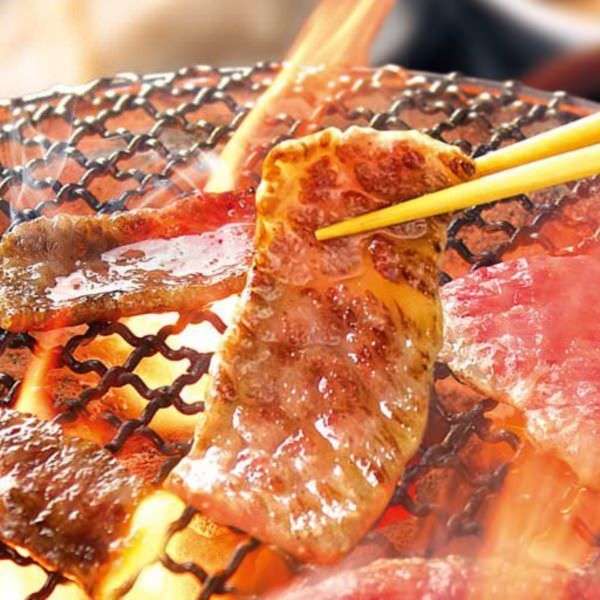 がるちゃん猫カフェ53号店 開店しました♪(初めての方も大歓迎!!)