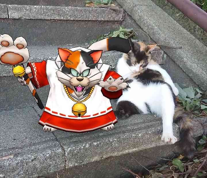 がるちゃん猫カフェ53号店 開店しました♪（初めての方も大歓迎!!）