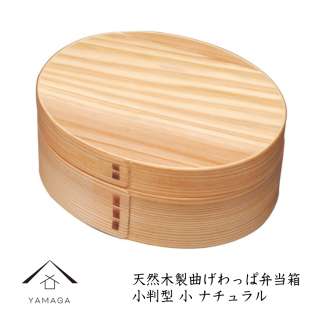 井川遥　2児の弁当が料亭級「栄養価素晴らしい」「コドモになりたい」と反響