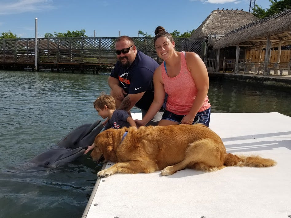 6年前からずっと仲良しの犬とイルカ、種族を超えた友情が美しい(米)