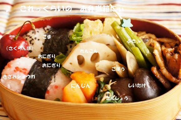 いろいろなお弁当箱が見たい！