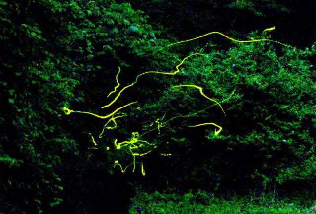 【夏休み】ここだけ昭和の小学生